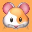 91.com.APPAPP应用